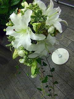 ���㥹������b