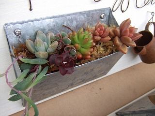 20090130 936