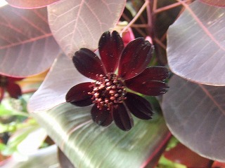 20090130 159