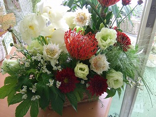 20090130 109