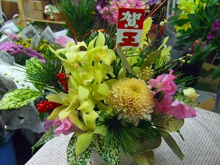 20090118 007