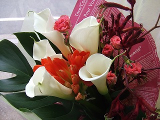 20090130 022