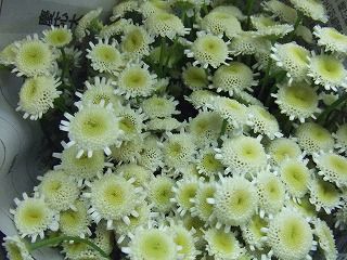 20090130 629