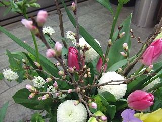 20090130 520