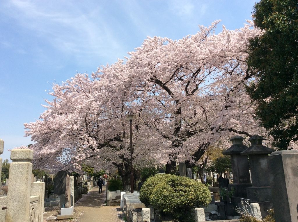 イメージ 10