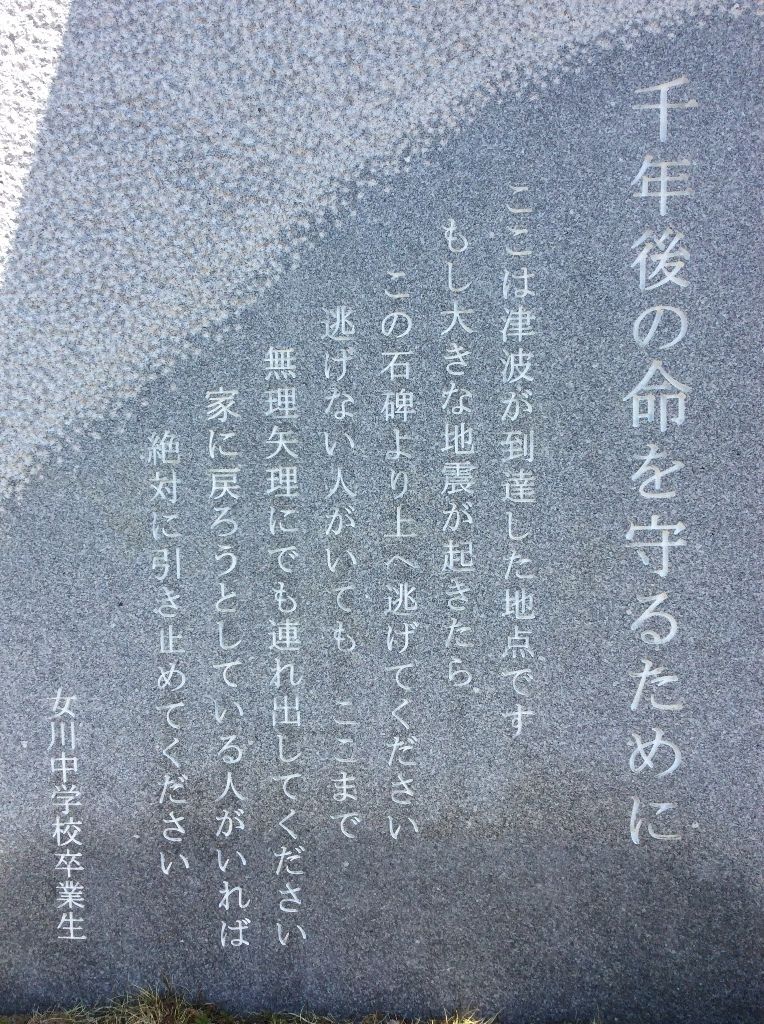 イメージ 10