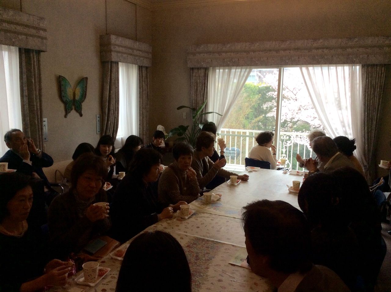 イメージ 7