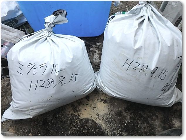 アミノ酸肥料とミネラル補給肥料の作り方 らうっちのvegetable Garden