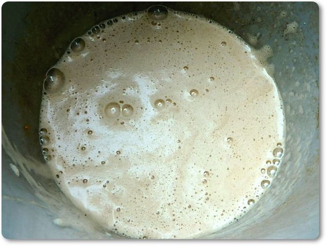 アミノ酸肥料とミネラル補給肥料の作り方 らうっちのvegetable Garden