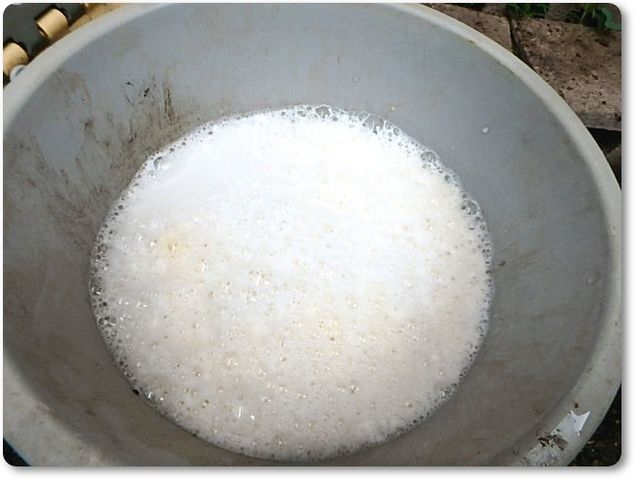 アミノ酸肥料とミネラル補給肥料の作り方 らうっちのvegetable Garden