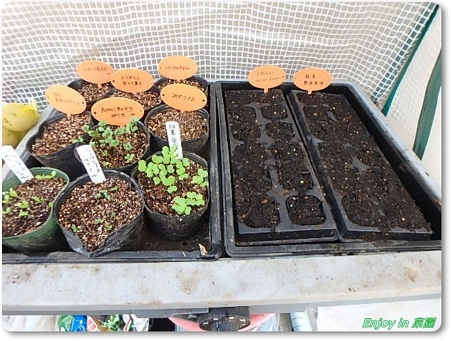 愛菜花 PG10 愛・菜・花 PG-10 発芽育苗器 愛菜花(あいさいか