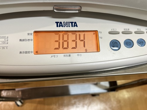 814C8B8A-263D-48FB-8B2E-EA5AEC7D2A4E-L0-001