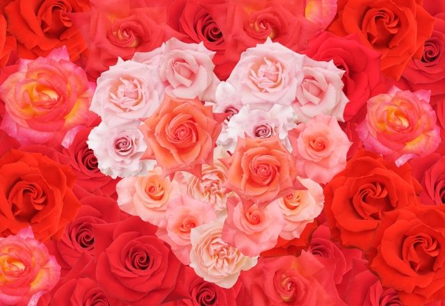 彼氏にしたい宝塚の男役best5 花組編 妄想注意 Flower Cage カリーナの宝塚依存症ブログ 彼氏にしたい宝塚の男役best5 花組編 妄想注意 Flower Cage カリーナの宝塚依存症ブログ