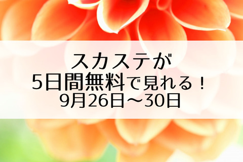 スカステ無料