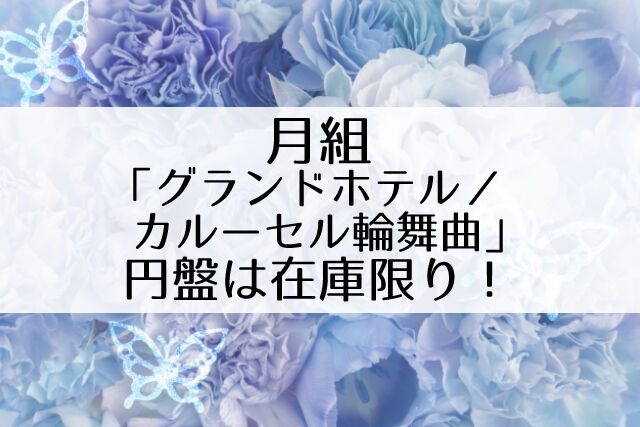 W*M様 【新品・未開封】【販売終了】宝塚月組 グランドホテル（Blu-ray） グランドホテル／カルーセル輪舞曲』円盤の販売終了！品切れ前にポチる
