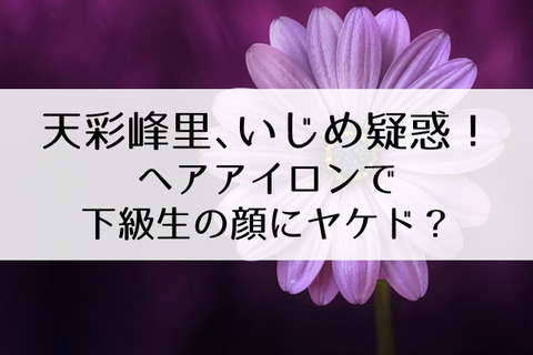 天彩峰里いじめ