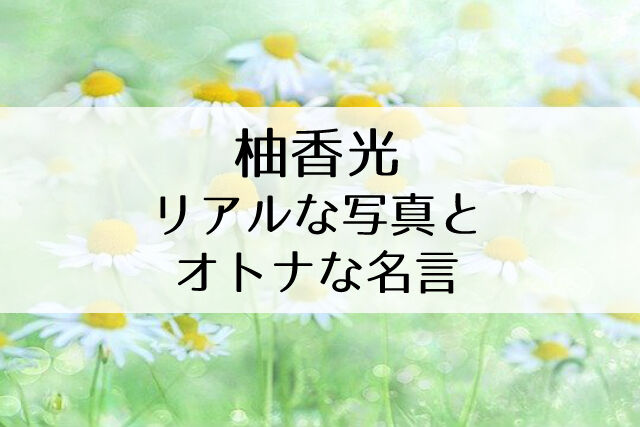 オトナな柚香光のリアルが見える 濃密な イブニング 6号の感想 Flower Cage カリーナの宝塚依存症ブログ