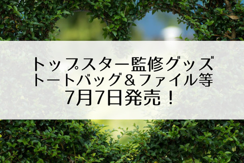 トップスター監修グッズ