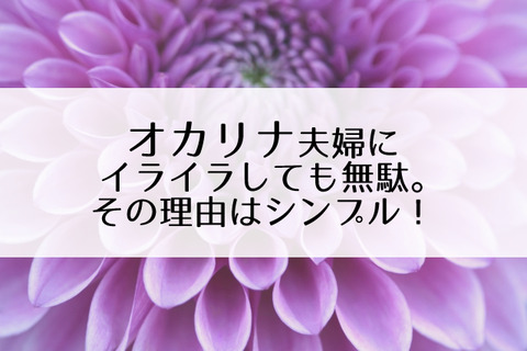 妻が綺麗過ぎる
