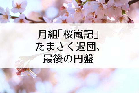 桜嵐記円盤