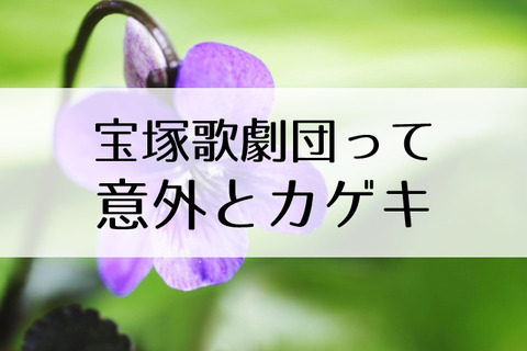ビューティフルガーデン