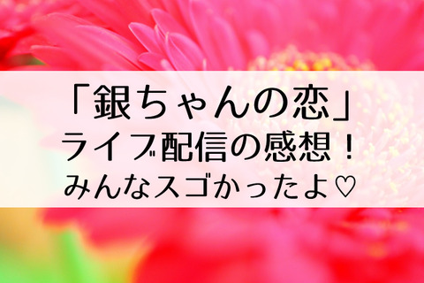 銀ちゃんの恋感想