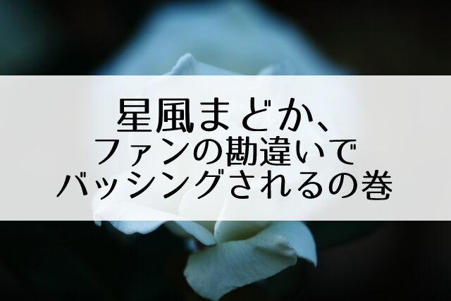 Cool Beast は れい華のためのショーではない 星風まどかへの理不尽なバッシング Flower Cage カリーナの宝塚依存症ブログ