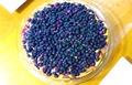 KIMG3180