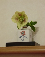 玄関を入って正面のニッチに、庭から摘んできたクリスマスローズの花。ほっと、癒されます。(ナチュラル&オーダーメイドの庭・外構ガーデンハーモニー)