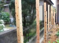 IMG_3413