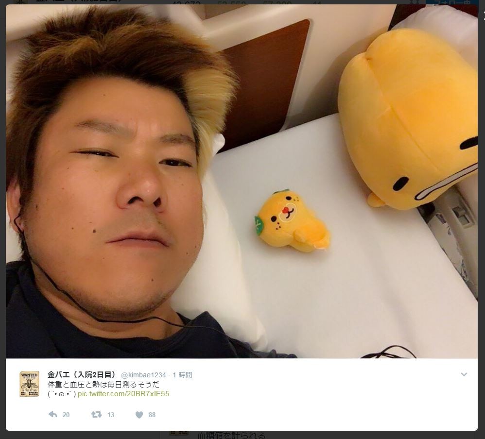 金バエ、肝硬変で緊急入院？黄疸も出て、症状は深刻か？ : 平成の寺田 