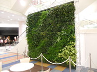 greenwall1