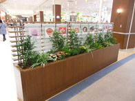 2F_food1
