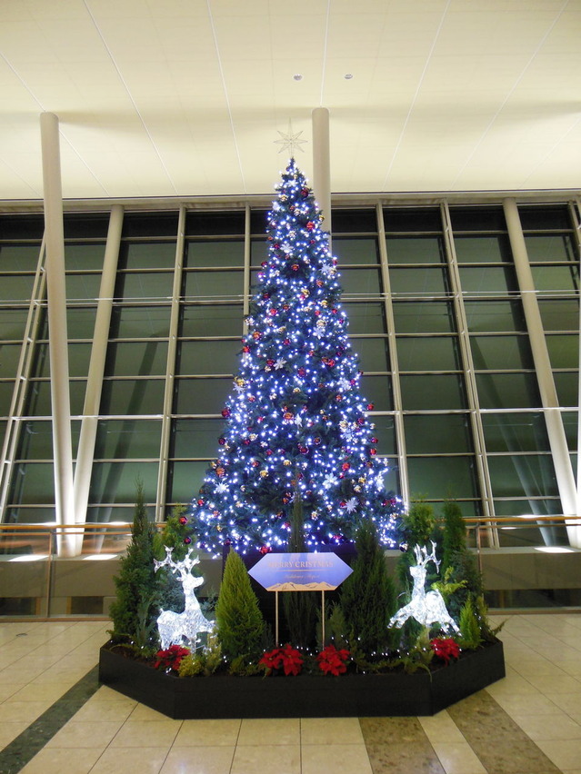 DSCN0190