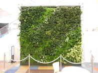 greenwall2