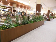 2F_food2