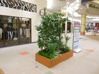1F_large_planter