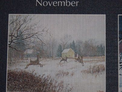 31