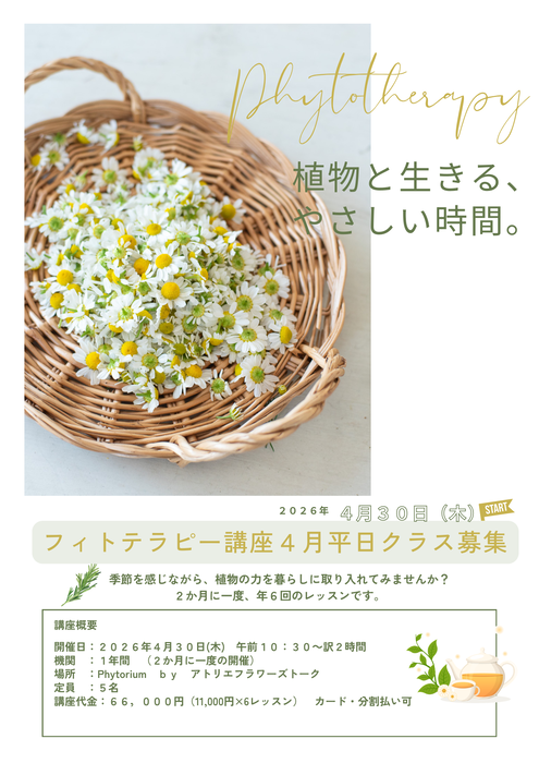 4月はじまり講座案内