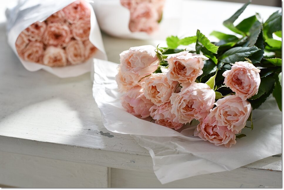 和バラのふわり ひらり 花と写真の教室 アトリエフラワーズトーク