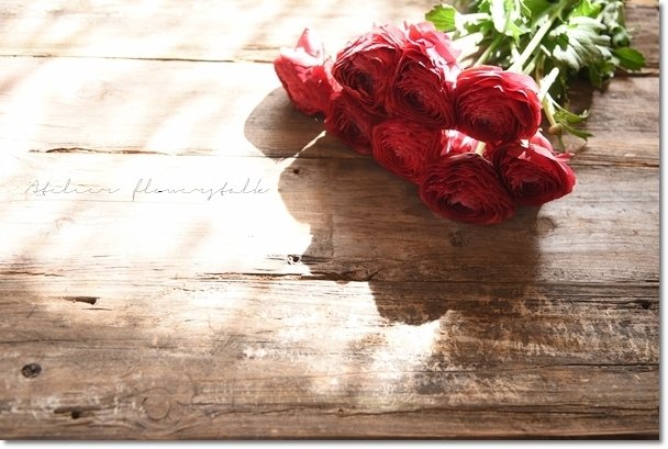 DSC_3359