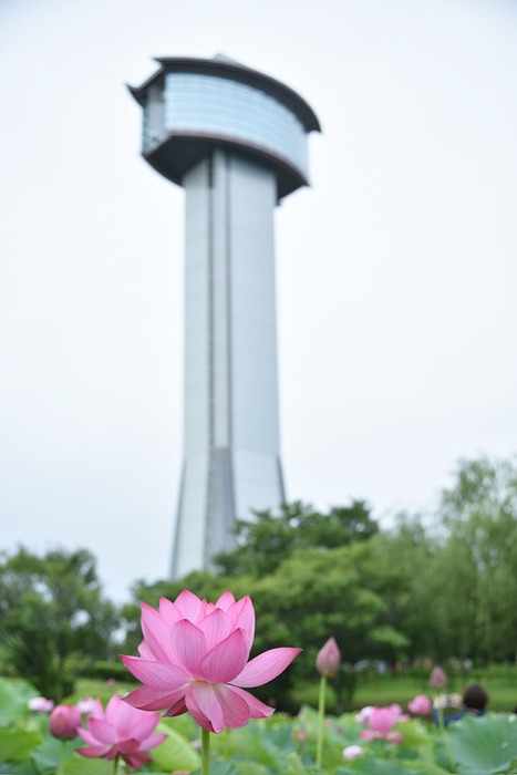DSC_3632
