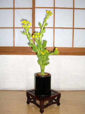 生け花 菜の花 桃の節句 こでまりの花物語 ｆｌｏｗｅｒｓｔｏｒｙ