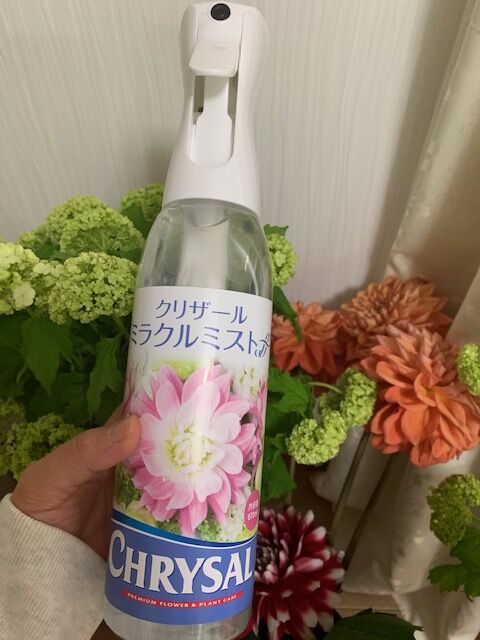 業務用延命剤 ミラクルミスト 追記あり イケダユミコ通信the Day