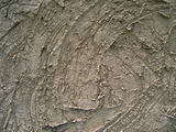 RIMG0016