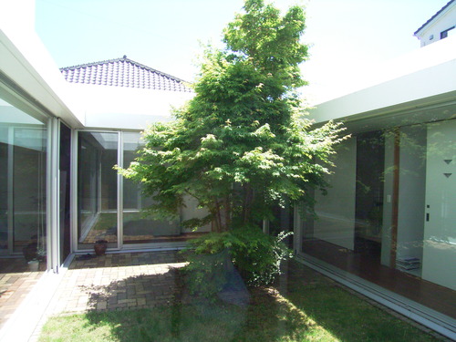 RIMG0146