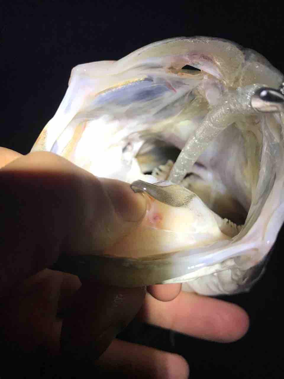 Blog144 しぼり ハネダでダラダラやってます