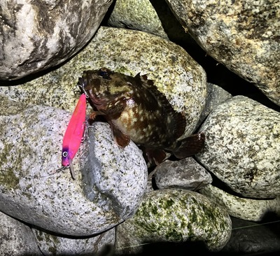 糸魚川方面の現状は?