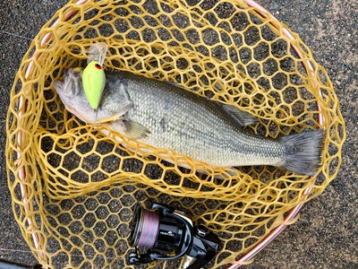 石川県ドリームレイク　クラバー50　クランキング