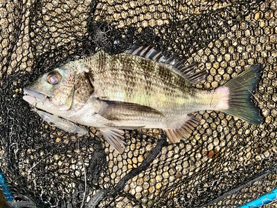 悪条件の中の1本！